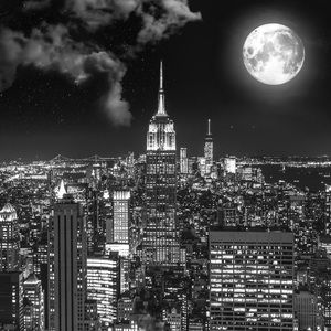 Meet your Posher, Mia